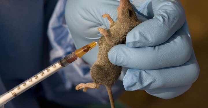 GHS confirmed two cases of Lassa Fever; one dead