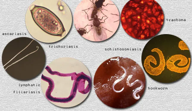 ‘Superstition associated with diseases threatens healthcare delivery’ – Obeng Amoako