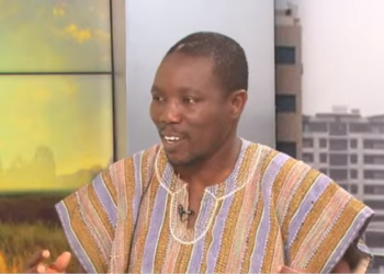 Political elites have been a disservice to the country – Historian