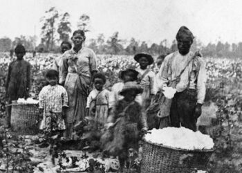 How Gynecology Was Built On The Pain Of Enslaved Black Girls