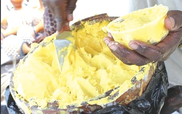 Nkuto reduces stretch marks, fights sunburn