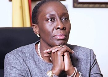 Marietta Brew, Fui Tsikata wrote to reject National Honours – Presidential staffer alleges