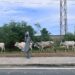 Cattle herders causing nuisance in Tema Freezone enclave