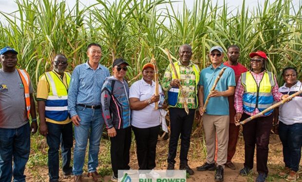 Bui Sugar Factory To Start Production