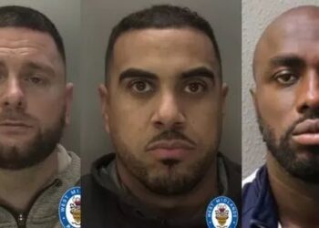 Three thugs who hired an assassin on the orders of Dubai-based drug dealer are facing jail