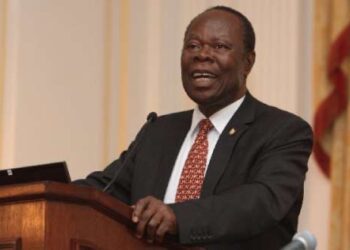 But for the constitution Akufo-Addo would have willed Ghana to himself – Ambassador Agyekum