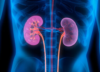 Lifestyle activities contribute to most kidney problems – Public advised