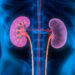Lifestyle activities contribute to most kidney problems – Public advised