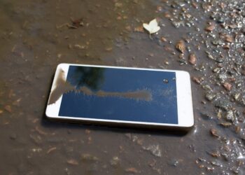 Two million litres of water drained from reservoir in search for phone dropped by Indian official taking selfie
