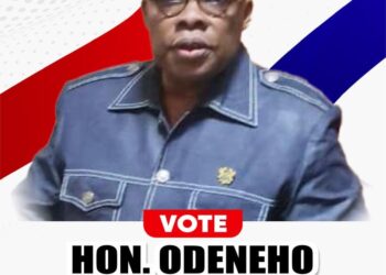 Former Jubilee House Transport Director enters NPP presidential race