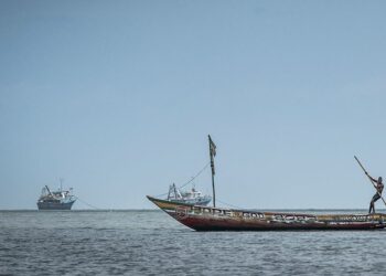 ‘They are stealing what should be ours’: Chinese trawlers are emptying West African fishing grounds