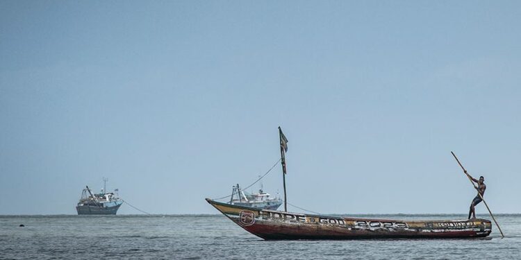 ‘They are stealing what should be ours’: Chinese trawlers are emptying West African fishing grounds
