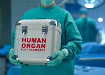 Human organs for transplant: 5 steps Africa must take to improve the supply chain