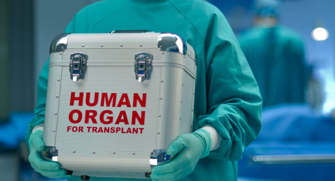 Human organs for transplant: 5 steps Africa must take to improve the supply chain