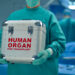 Human organs for transplant: 5 steps Africa must take to improve the supply chain