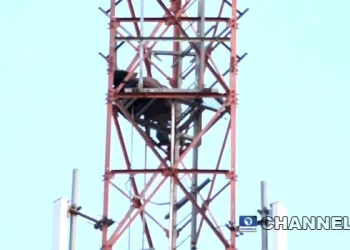 Zambia: Boy 15, commits suicide