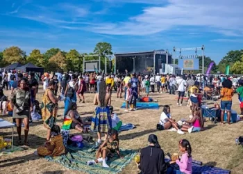 Ghana Party in the park festival postponed indefinitely