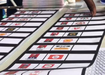 Serialized ballot papers could victimize NPP delegates – political analyst