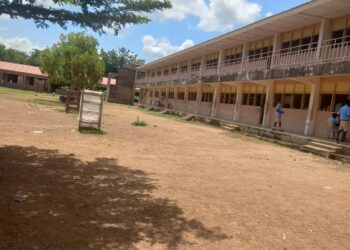 Talensi: Palace men allegedly raid school campus, steal teachers’ goats for festival sacrifice
