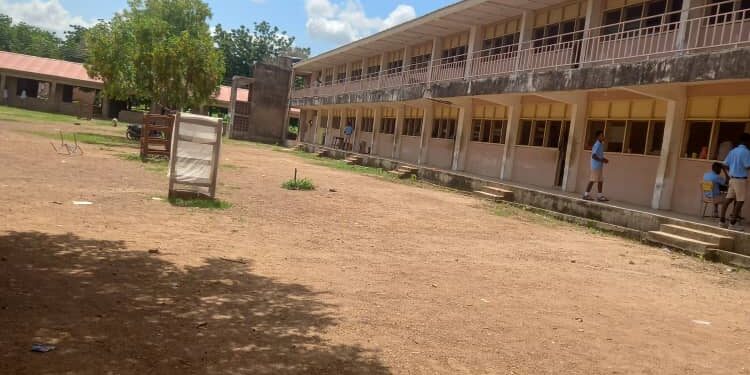 Talensi: Palace men allegedly raid school campus, steal teachers’ goats for festival sacrifice