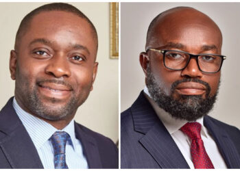 Gov’t dishing out GH¢300 million for McDan’s salt business