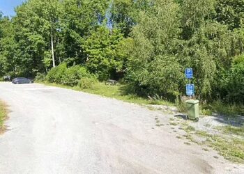 Girl, 16, and four brothers ‘lured taxi driver into the woods’ before conducting ‘an execution’ in revenge following rape