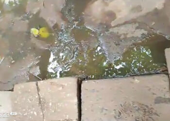 Tema: Burst sewage line fixed after Plan B FM’s report