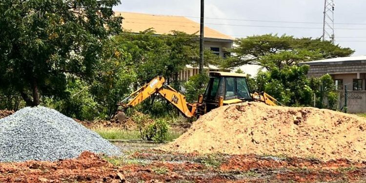 Save the Tema Children’s Park demo reschedules to October 25