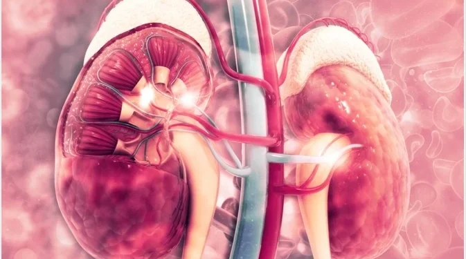 Chronic kidney disease is irreversible but manageable – Public advised