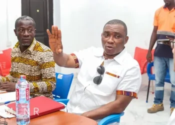 Mireku Duker orders shutdown of Chinese firm Gan He Mining