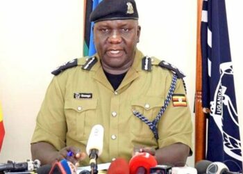 Son kills mother’s boyfriend after finding them making love in potato garden