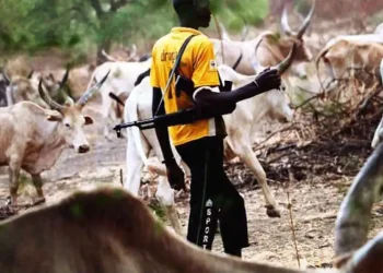 Concern Farmers Association calls on govt to deal with Fulani herdsmen menace