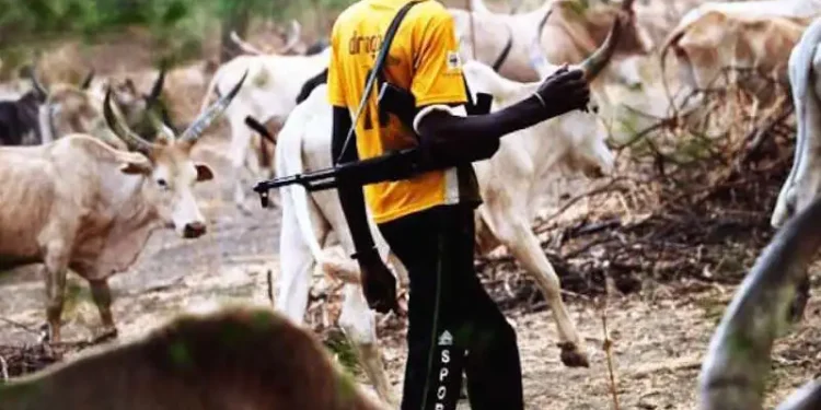Concern Farmers Association calls on govt to deal with Fulani herdsmen menace