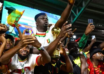 Afcon 2023: Calls for calm in Guinea after six fans die amid Afcon celebrations