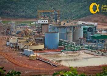 Court orders new IMC to take over operations of Adamus Ghana Limited