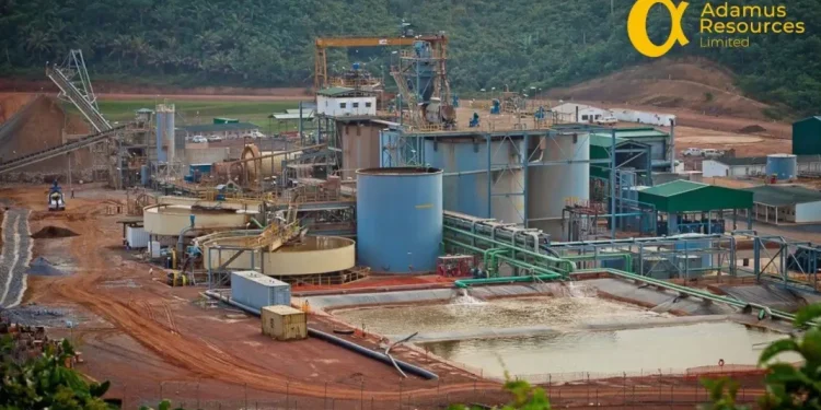 Court orders new IMC to take over operations of Adamus Ghana Limited