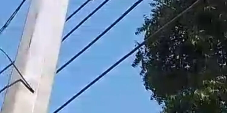 Tema: Residents at site 14 call on ECG to fix deteriorated electrical cables