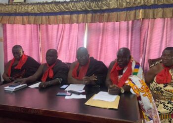 Nzema Chiefs give Prof Gadzekpo 7 days to appologise over LGBTQ comment
