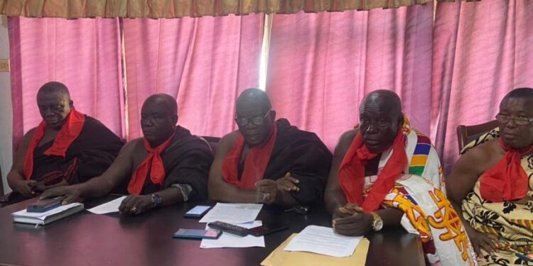 Nzema Chiefs give Prof Gadzekpo 7 days to appologise over LGBTQ comment