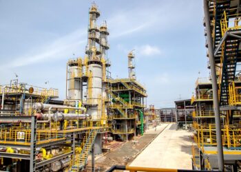 NPP govt was wrong in allowing establishment of Sentuo Refinery – COPEC