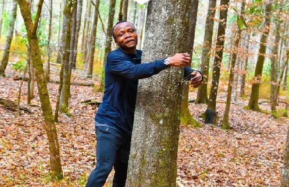 Guinness World Records: Ghanaian activist hugs over 1,100 trees in an hour to set record