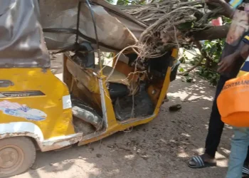 Falling tree leaves tricycle rider critically injured at Kumasi Racecourse