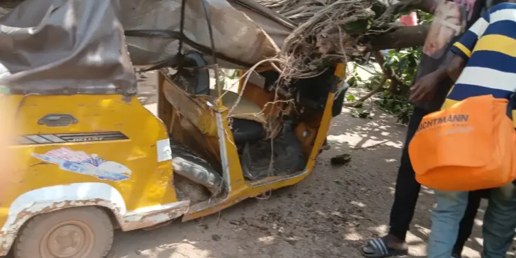 Falling tree leaves tricycle rider critically injured at Kumasi Racecourse