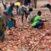 Residents rush for spaghetti spill on Amasaman-Nsawam Highway