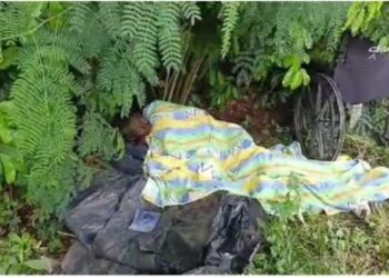 Winneba Hospital Director suspended over alleged abandonment of patient in a bush