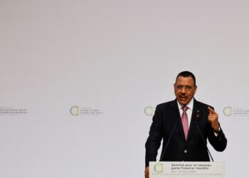 Niger’s Ousted President Stripped of Immunity