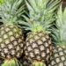 EU alleges suspected fraud in local pineapple exports from Ghana