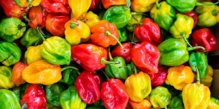 Transportation and storage cost drive up pepper prices in Ghana