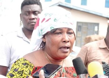 2017 Arrest: I was stripped naked by BNI officials – Nana Yaa Jantuah