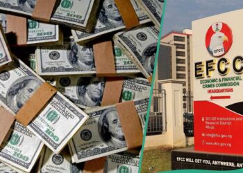 INTERPOL says thousands of dollars flown out of Nigeria daily by corrupt individuals